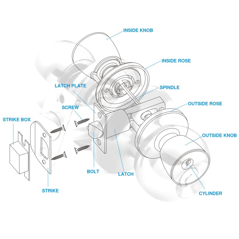TLDL PART SHOWING
