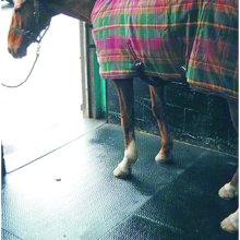 HORSE MAT2-2