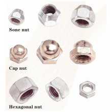 NUT-2