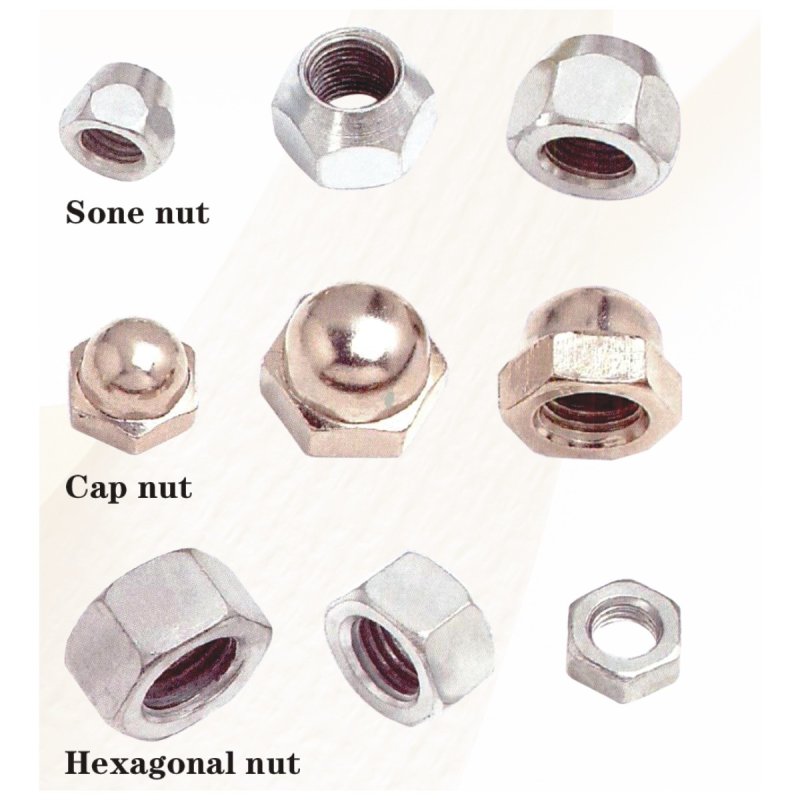 NUT-2