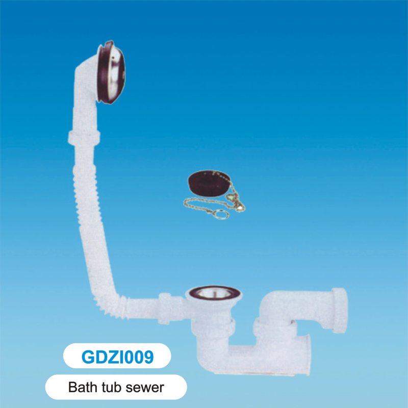 GDZI009