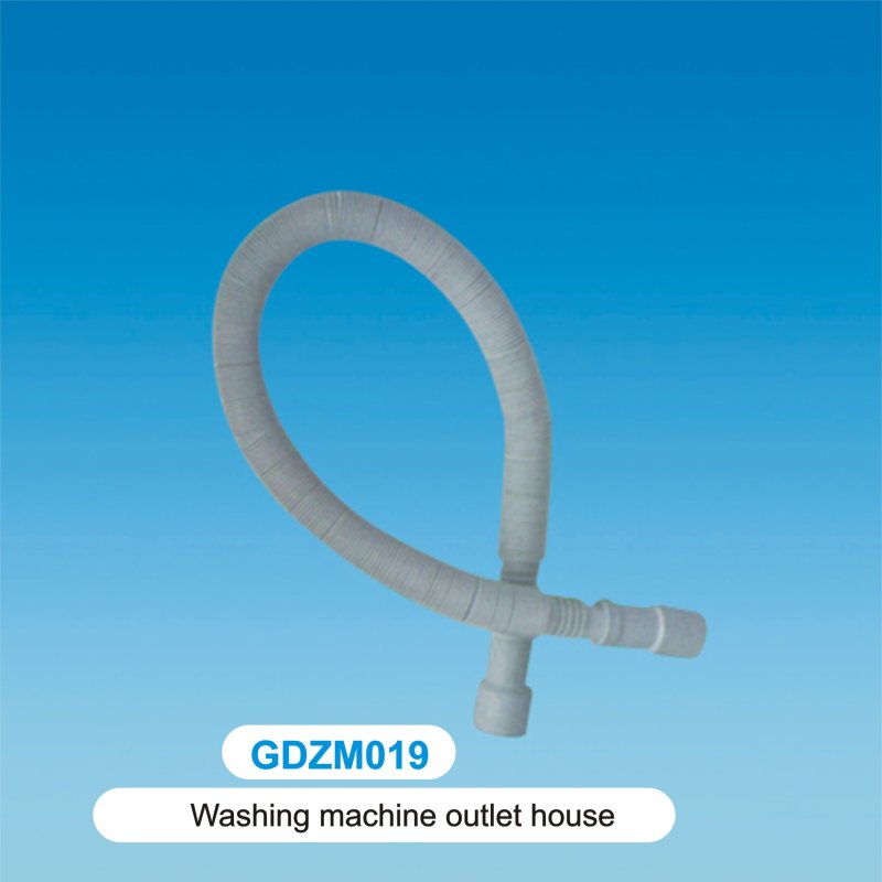 GDZM019