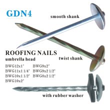 GDN4