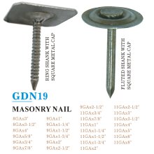 GDN19