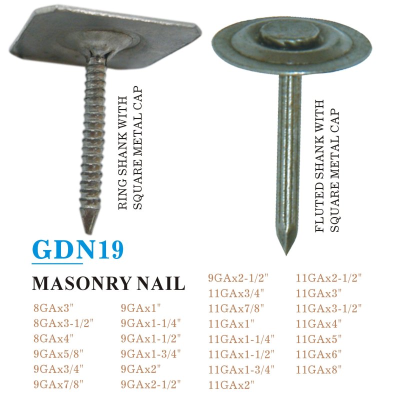 GDN19