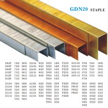 GDN20