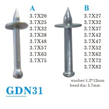 GDN31