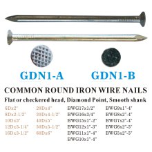 GDN1