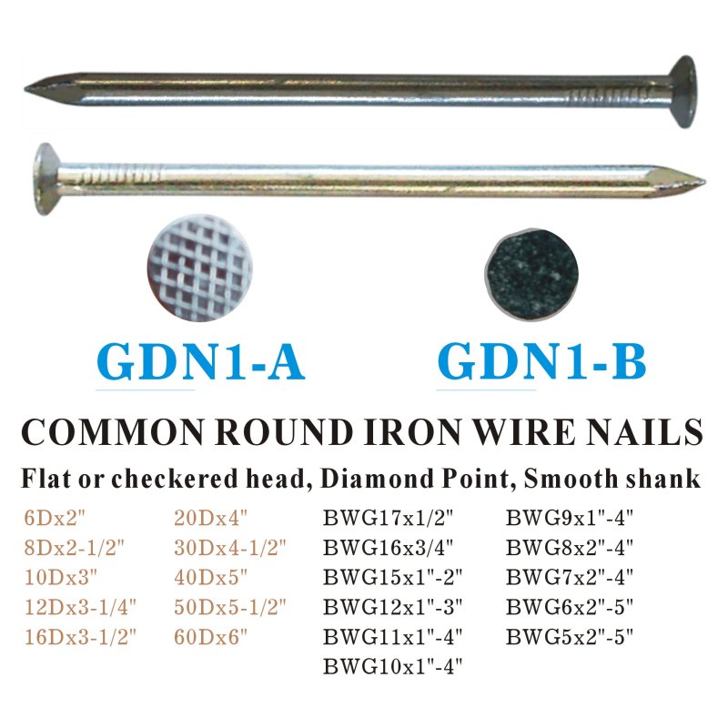 GDN1
