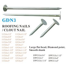 GDN3