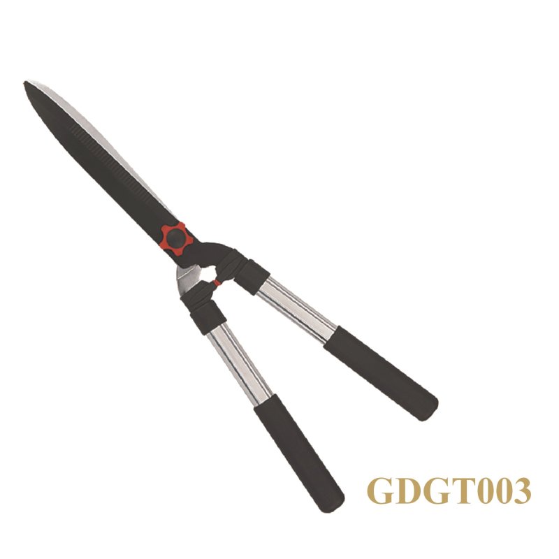 GDGT003