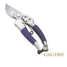 GDGT005
