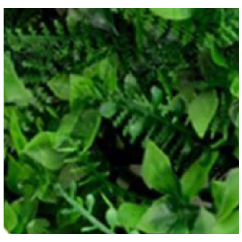 LLSCC-A
