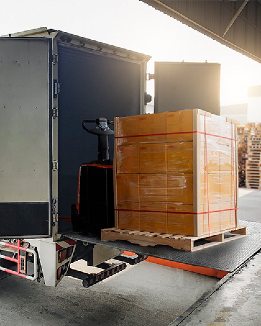 Packaging & Logistics Support