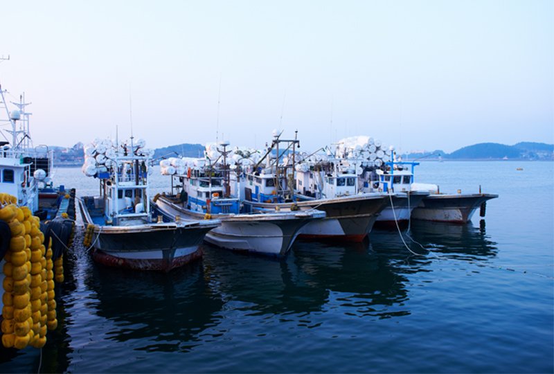 Commercial Fishing Operation