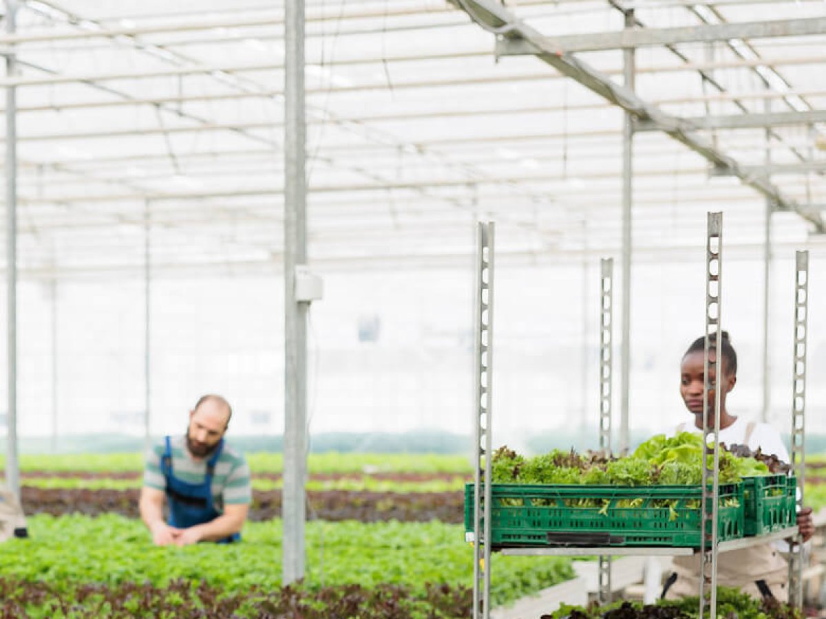 Shelfull Bins SF3115 (67)