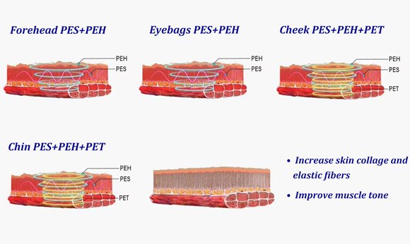 By massaging the facial skin with warm and physical techniques; Promote the firmness and rejuvenation offacial skin