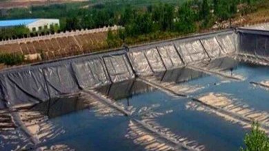 What are freshwater aquaculture and geomembrane liners?