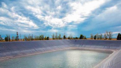 What is the service life of geomembrane?