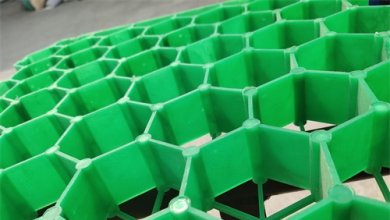 Plastic Grass Grid and Gravel Pavers