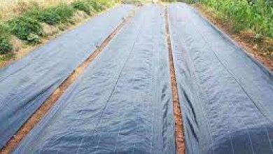 Agriculture Anti Grass Cloth Farm Special Weed Isolation Mat