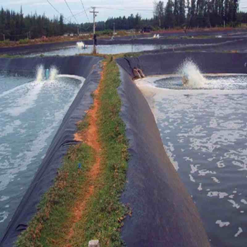 Pond liner