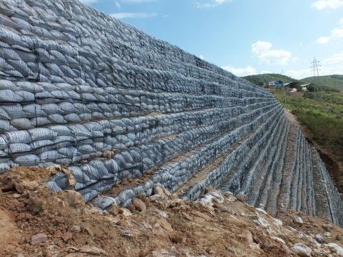 Uniaxial geogrid
