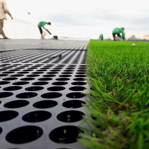 Drain cage