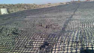 What is geogrid mesh?