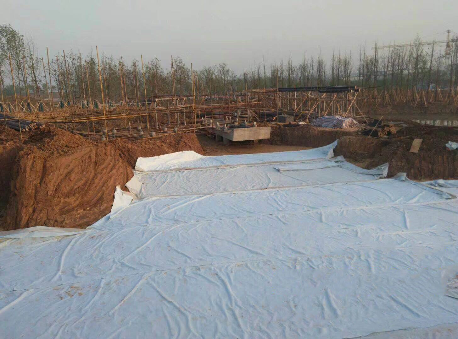 composite geomembrane
