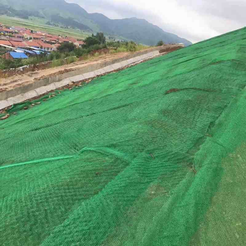 Three-dimensional Vegetation Net