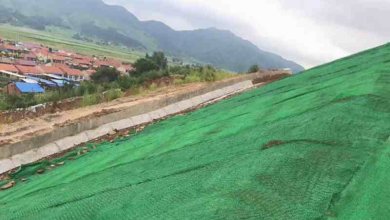 What is the Three-dimensional Vegetation Net?