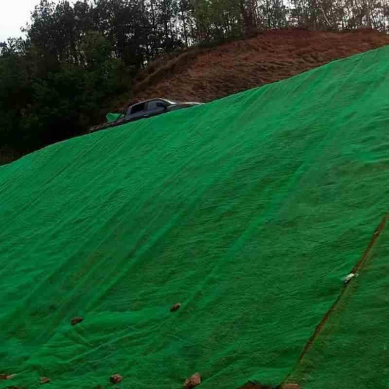 Three-dimensional Vegetation Net