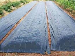 Anti Grass Cloth