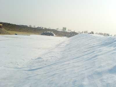  Composite geomembrane