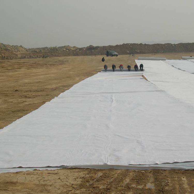 Composite geomembrane