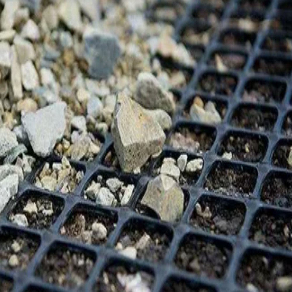 Biaxial Geogrid