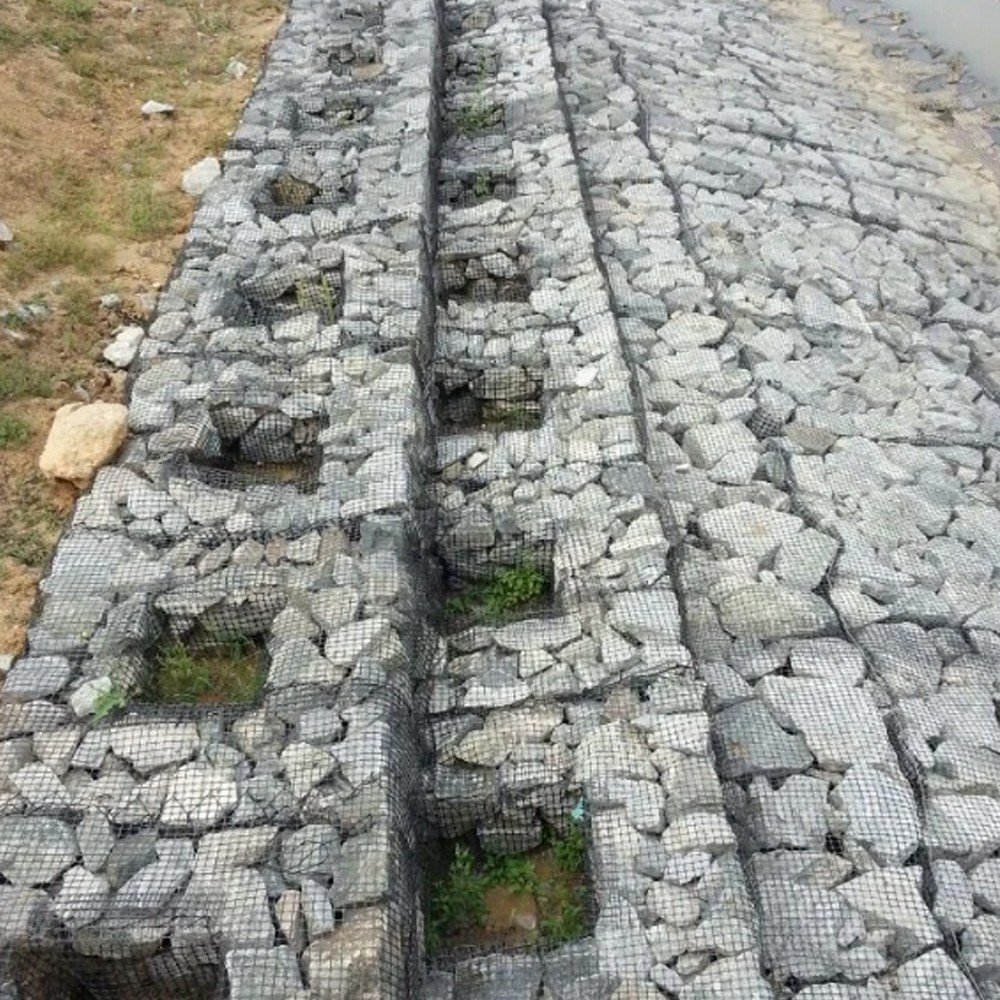 Biaxial Geogrid