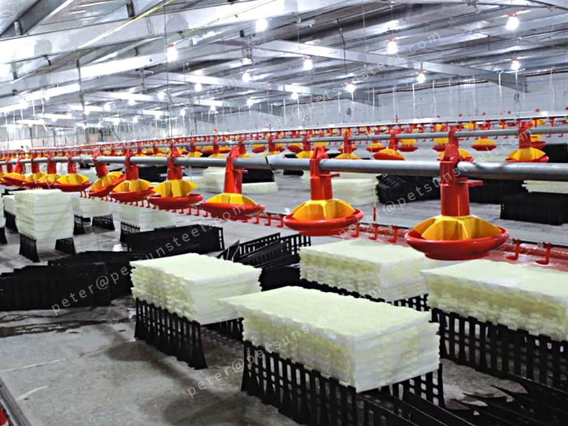 Light Steel Broiler Chicken Shed | Durable Poultry House from China