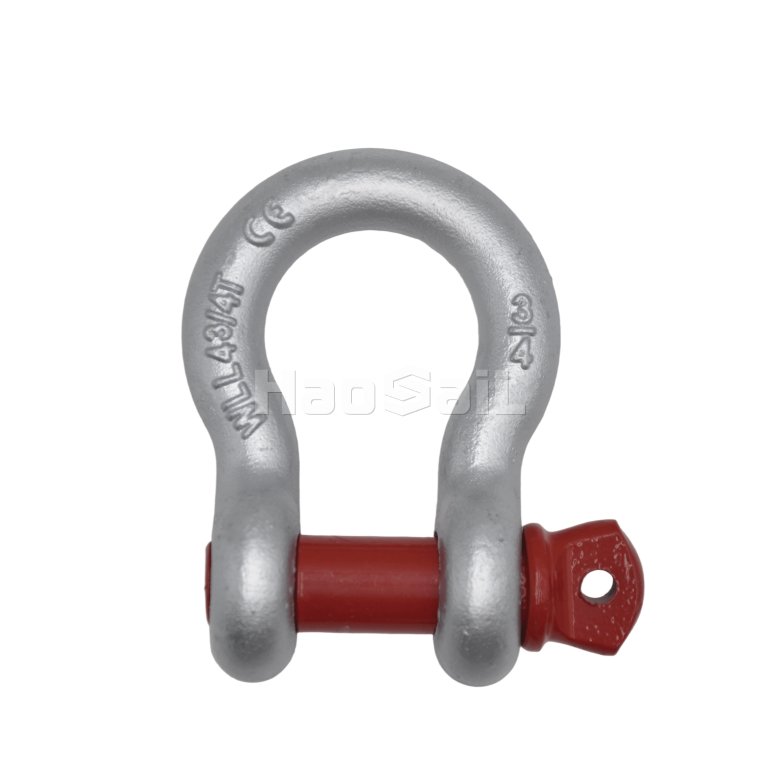 G209 US Type Bow Shackle with Screw Pin
