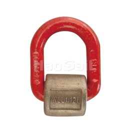 D-RINGD-WITH-WRAP