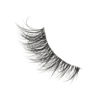 wispy cat eye strip lashes