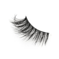 3D Wispy Half EYELashes
