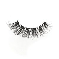 Clear Band Wispy Thick eyeLashes