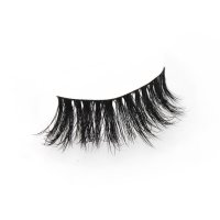 Clear band Dramatic lashes strip