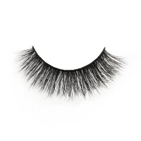 Dramatic Volume Lashes strip