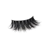 Dramatic Long Lashes strip