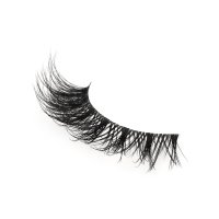 Wispy Dramatic  style eyeLashes