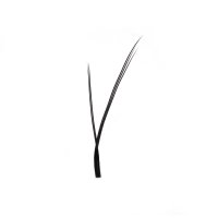 PBT fiber foxy yy lashes fan