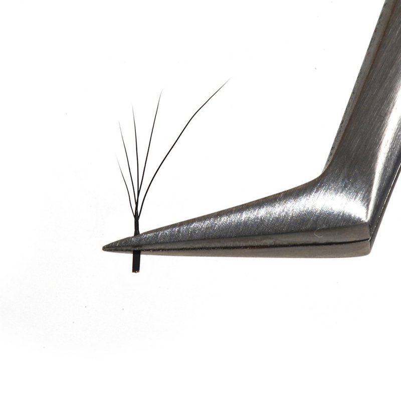 5D foxy w lashes fans